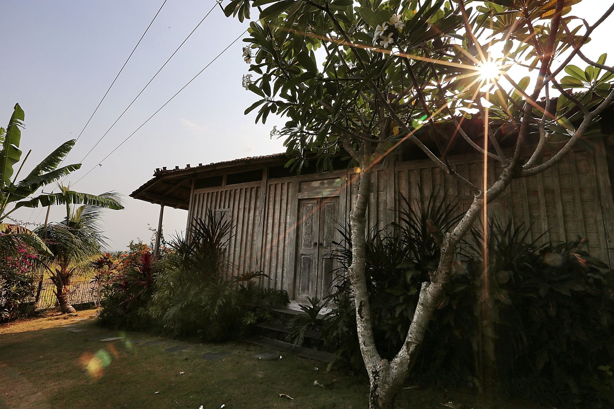 The Sanyas Retreat Hotel Selemadeg Exterior foto